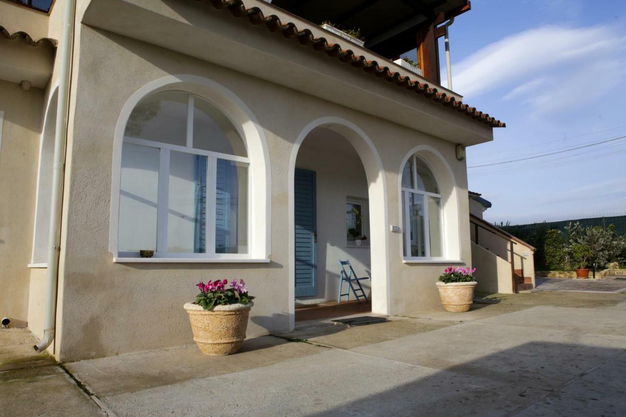 Avion B&B Elmas Exterior foto